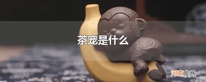 茶宠是什么