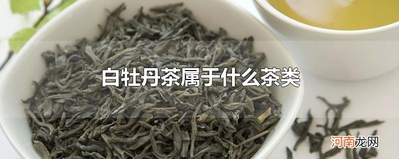 白牡丹茶属于什么茶类