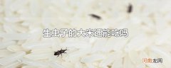 生虫子的大米还能吃吗