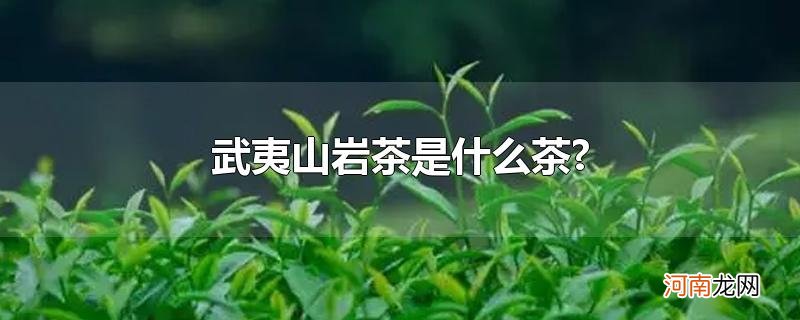 武夷山岩茶是什么茶?