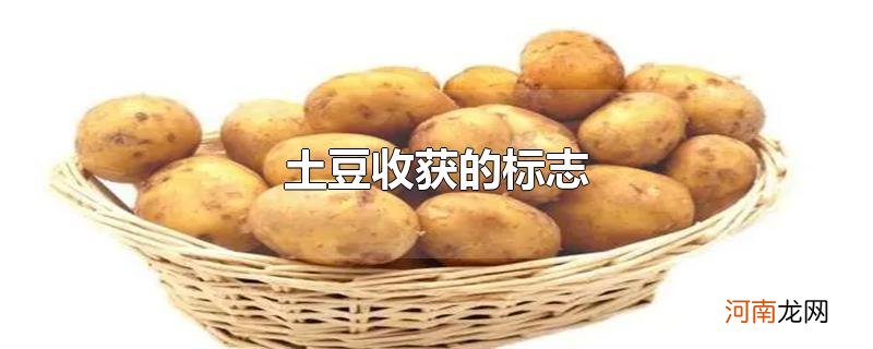 土豆收获的标志