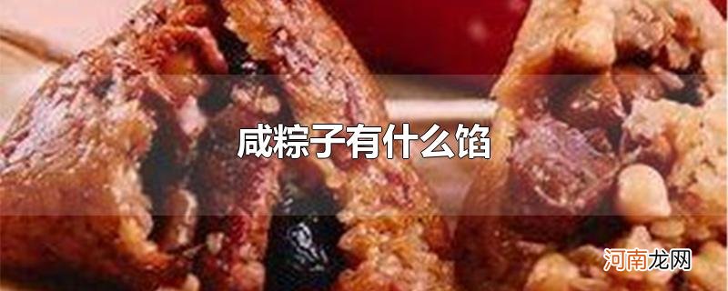 咸粽子有什么馅