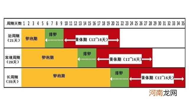 月经周期的长短 月经过后第七天同房会怀孕吗