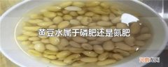 黄豆水属于磷肥还是氮肥