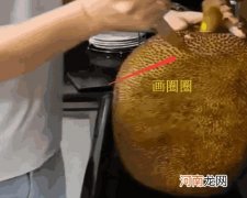 如何剥出一整个菠萝蜜 菠萝蜜怎么剥皮小窍门