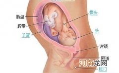 10大信号能让你知道胎儿的安危