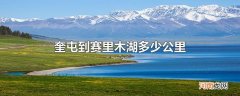 奎屯到赛里木湖多少公里