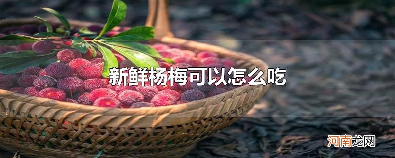 新鲜杨梅可以怎么吃