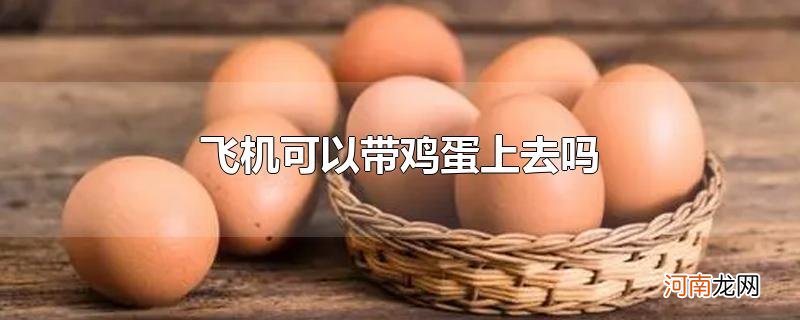 飞机可以带鸡蛋上去吗