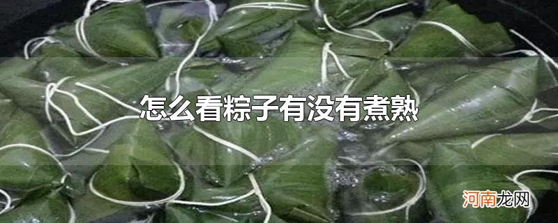 怎么看粽子有没有煮熟