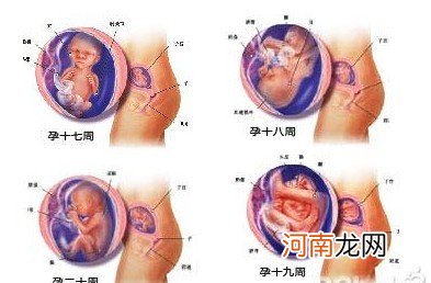 孕妇注意：过多的胡萝卜可致胎停育