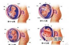 孕期怎样睡觉对胎儿比较好