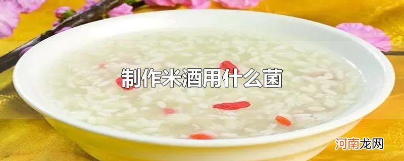 制作米酒用什么菌