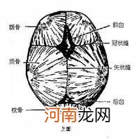 2岁宝宝囟门未闭合怎么办