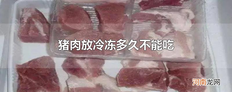 猪肉放冷冻多久不能吃