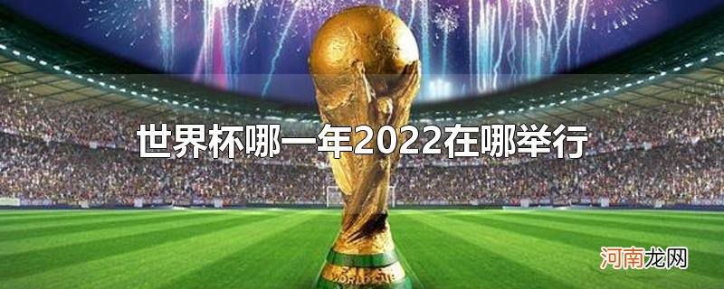 世界杯哪一年2022在哪举行