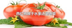 西红柿属于水果还是蔬菜