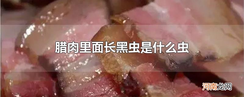 腊肉里面长黑虫是什么虫