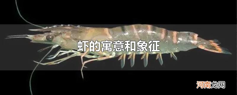 虾的寓意和象征