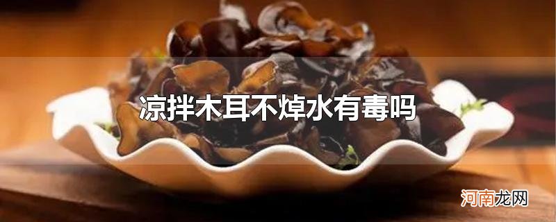 凉拌木耳不焯水有毒吗