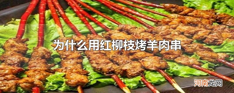 为什么用红柳枝烤羊肉串