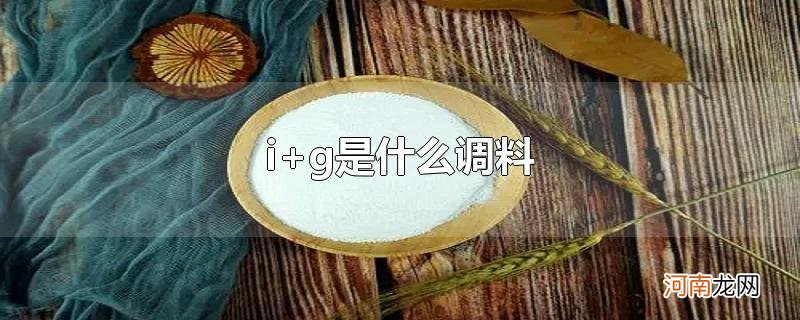 i+g是什么调料