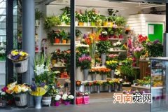 花店起个好听大气名字 花店起什么名字好