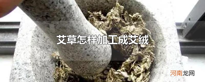 艾草怎样加工成艾绒