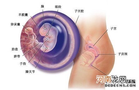 逸妈的饮食‘偷师’攻略