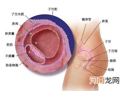 水痘宝宝的战“痘”计划