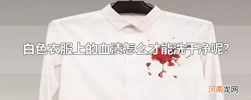 白色衣服上的血渍怎么才能洗干净呢?