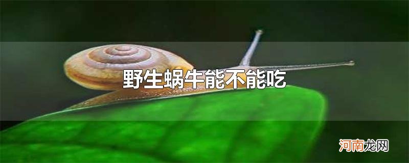 野生蜗牛能不能吃