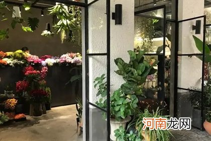 大气的花店名字大全 花店起什么名字好