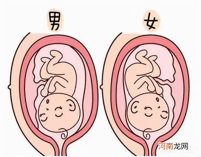 冰糖雪燕的做法窍门 血燕怎么做才好吃呢