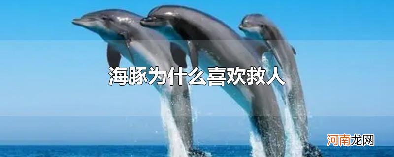 海豚为什么喜欢救人