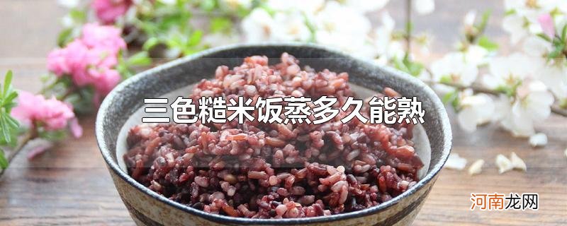 三色糙米饭蒸多久能熟