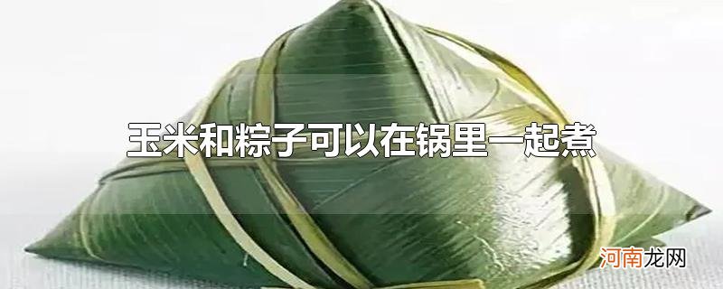 玉米和粽子可以在锅里一起煮吗