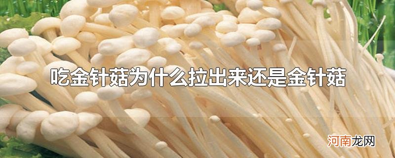 吃金针菇为什么拉出来还是金针菇