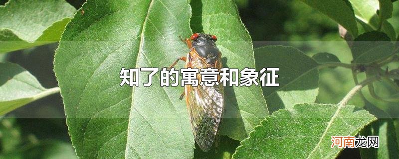 知了的寓意和象征