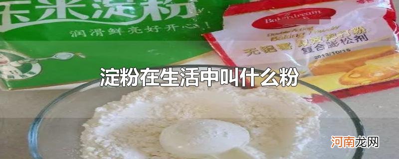 淀粉在生活中叫什么粉