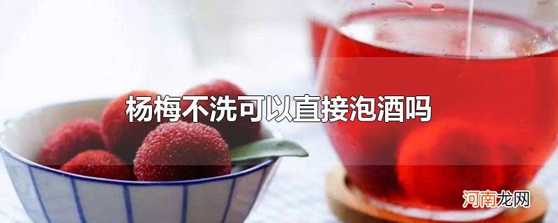 杨梅不洗可以直接泡酒吗