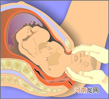 揭秘：胎儿在妈妈肚子里做什么