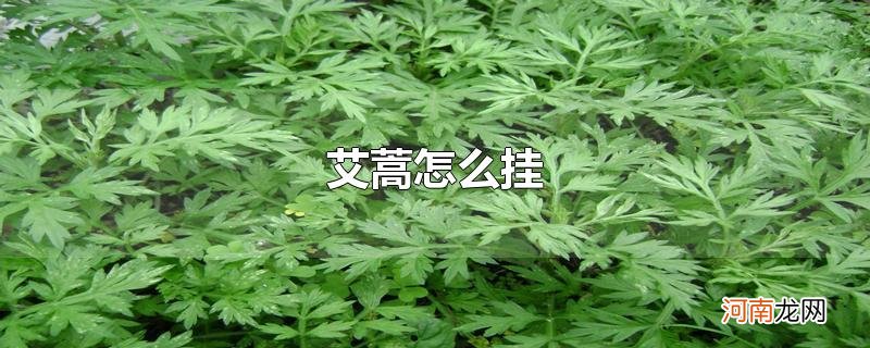 艾蒿怎么挂