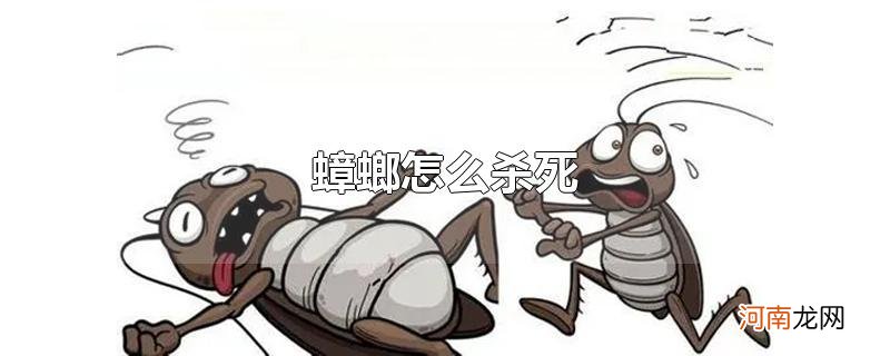 蟑螂怎么杀死