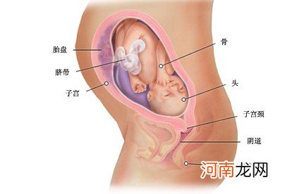 有利于性格培养的胎教方法