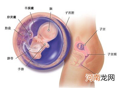 可能已经怀孕的十大迹象