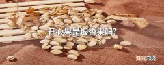 开心果是银杏果吗?