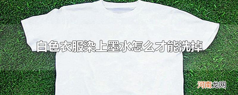 白色衣服染上墨水怎么才能洗掉