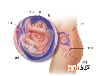 白领孕妇如何缓解产前焦虑