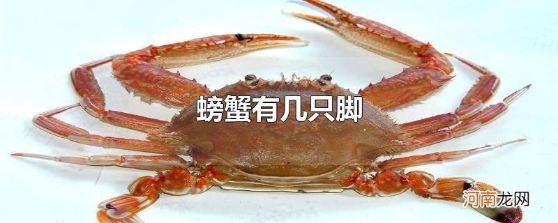 螃蟹有几只脚